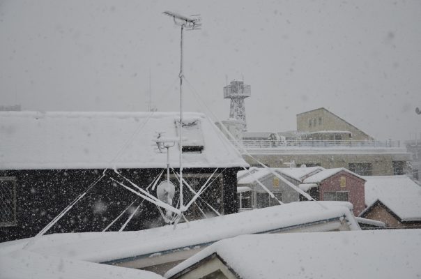 1月の降雪