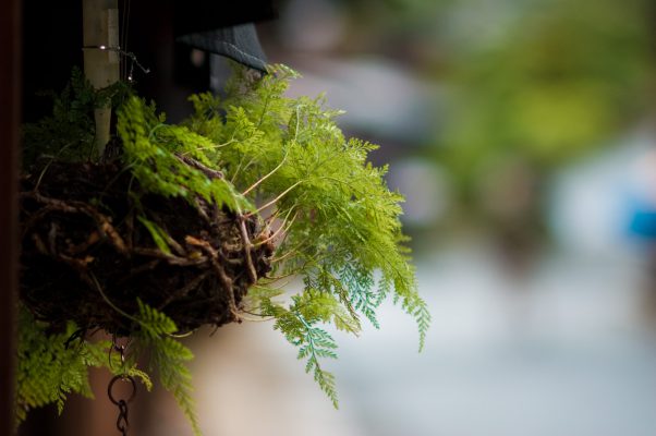 雨模様