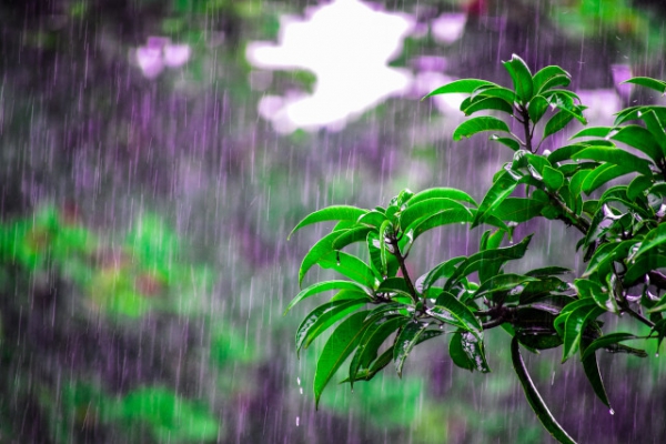 7月の大雨