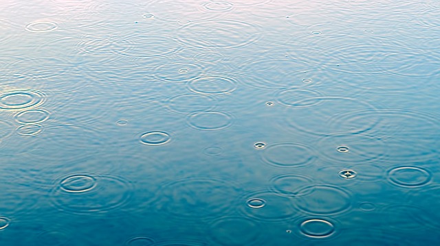 ８月の雨