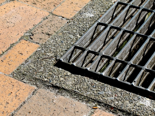 大雨の影響