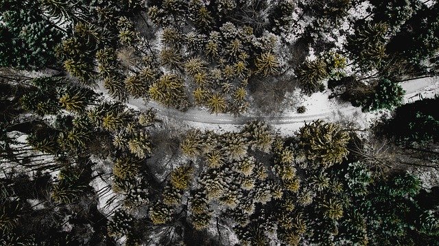 雪の季節に