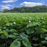 【2020年6月10日】本日の地震活動傾向