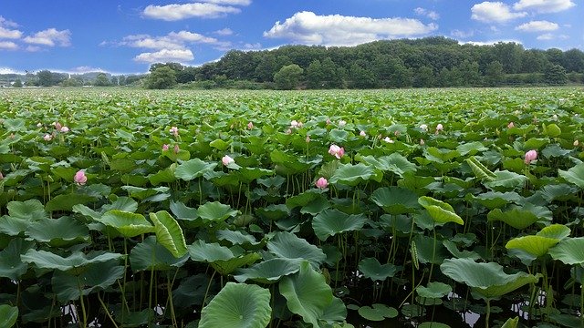 【2020年6月10日】本日の地震活動傾向