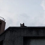 【2020年9月14日】本日の地震活動傾向