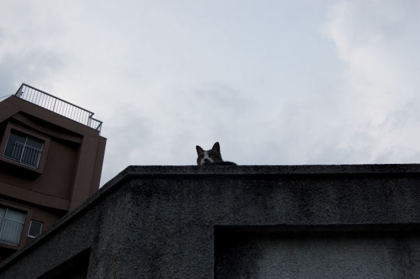 【2020年9月14日】本日の地震活動傾向