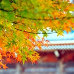 石川県能登地方